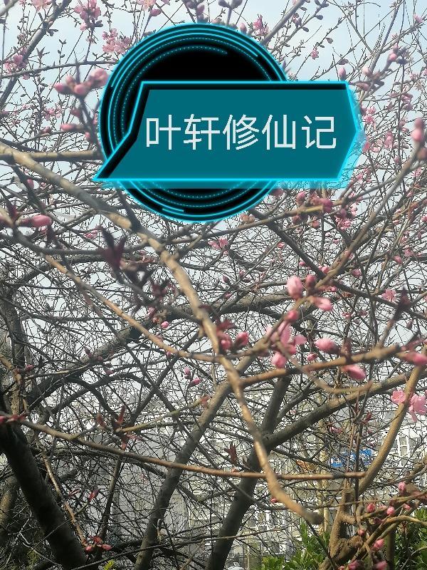悠然自得和悠闲自得的区别
