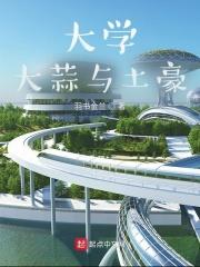 秩序 游戏