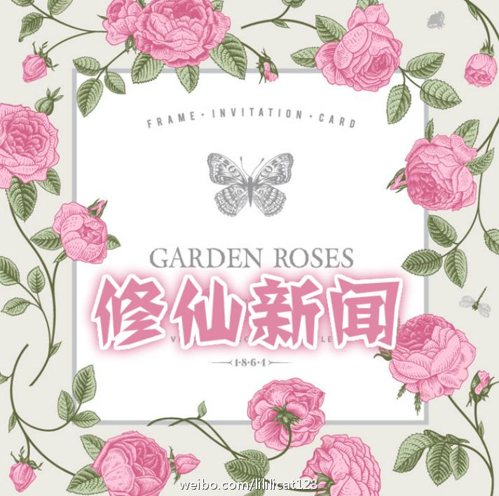 大唐娘子什么意思