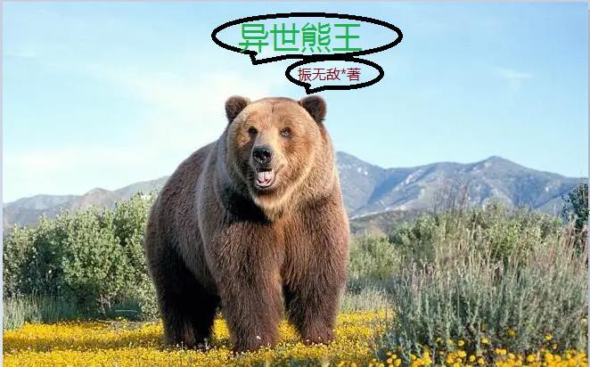 动漫亚索