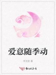 数卡杂货铺