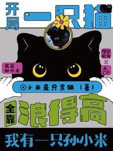 我的天赋词条每天刷新txt