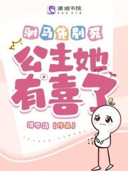 fate梦幻旅程txt