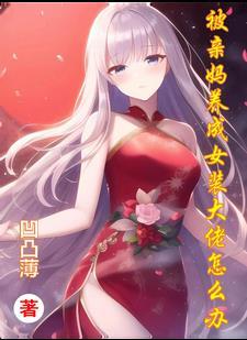 穿越清朝成为胤禛嫡福晋的