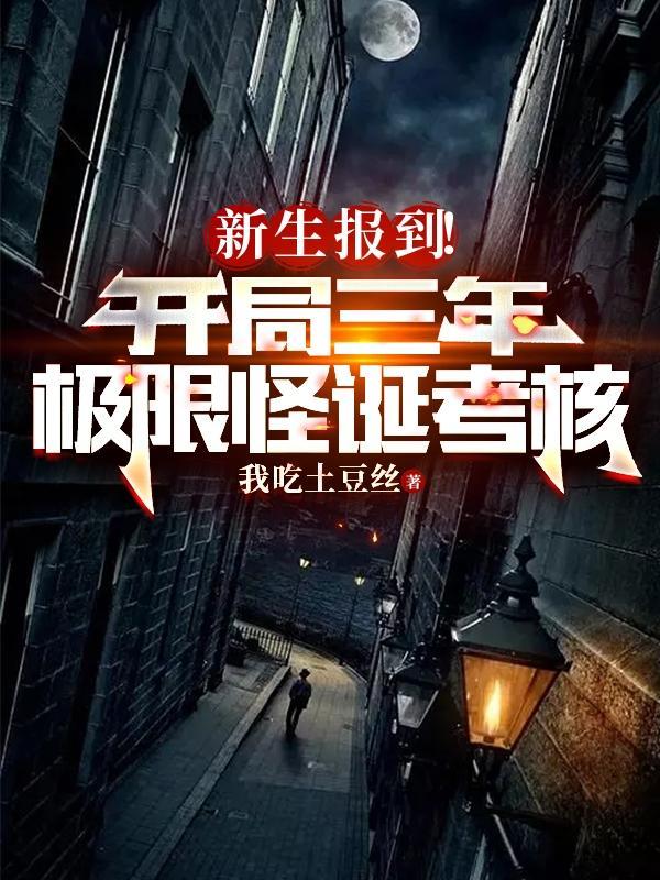 叶枫无尽幸运大陆2