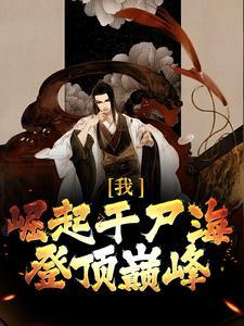 我在80年代发财免费阅读