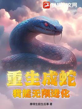 乞丐王子名著