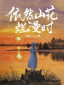 乞丐王子书籍