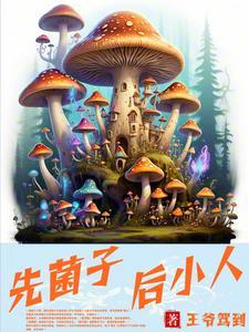 斗破之丹圣