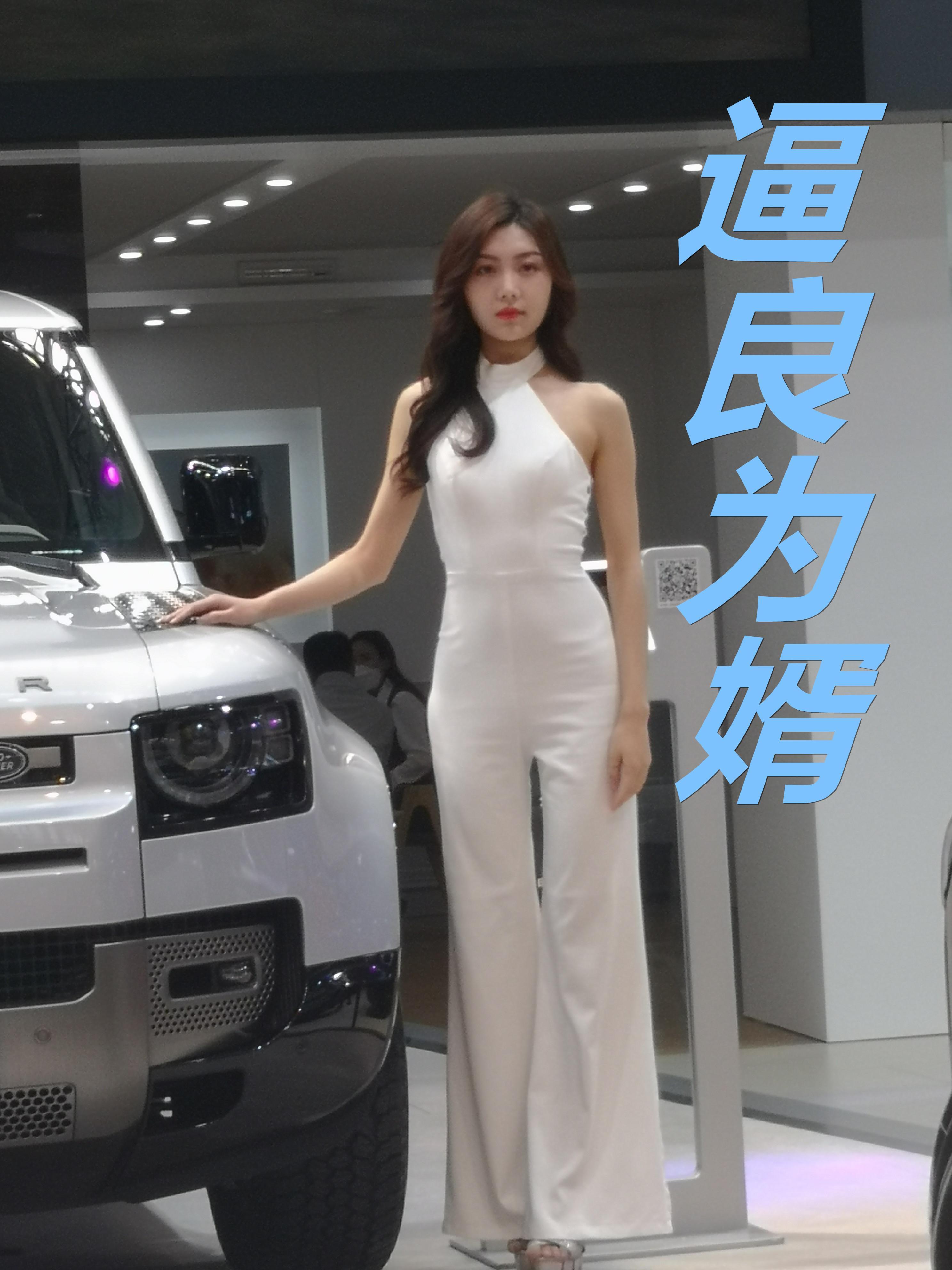 大明汉王朱高煦家的鼍龙王