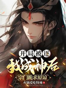 买丹药送低阶功法的