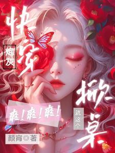 侠影之谜剧情介绍