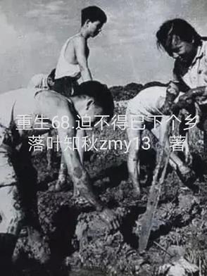 星际殖民地安卓汉化版
