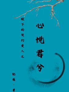 全忍界直播开局播放鸣佐之战