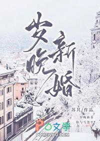 小可怜无家可归